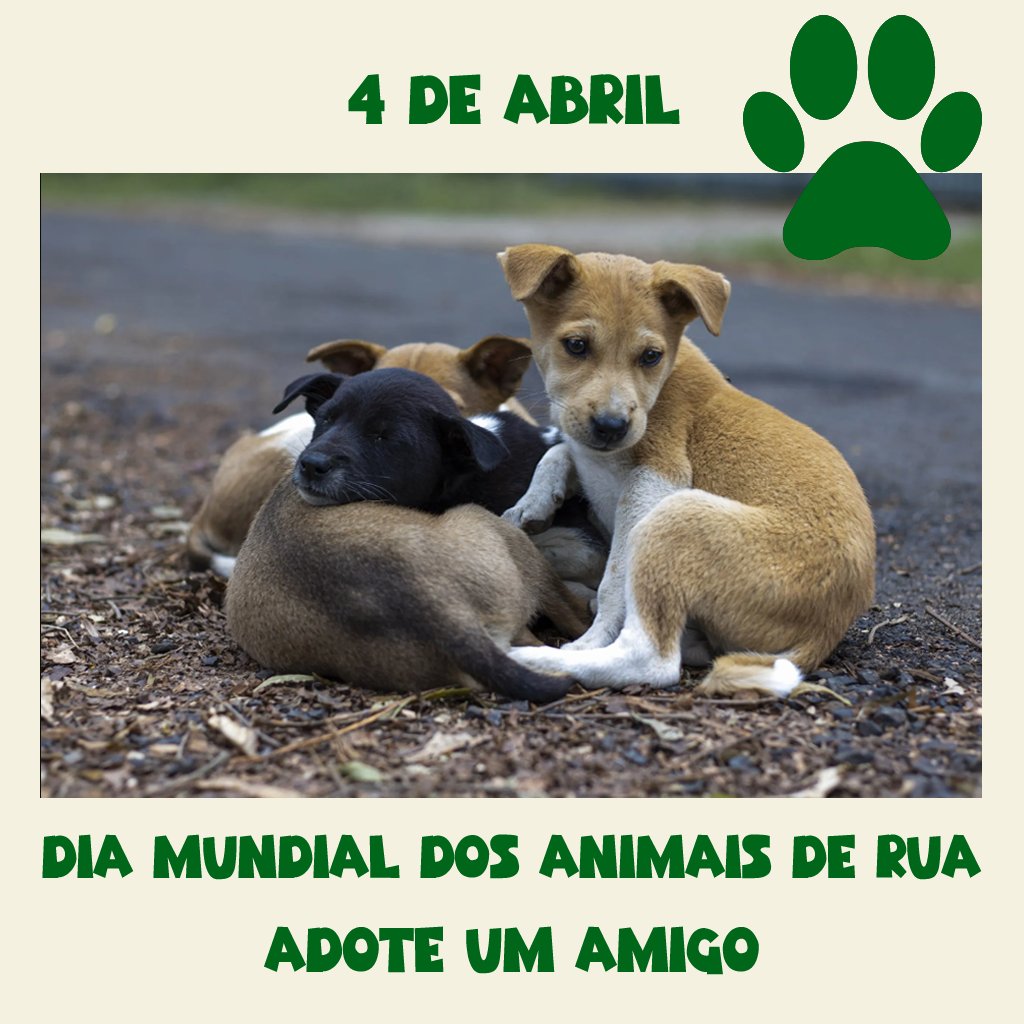 Gabriel Charro tweet media