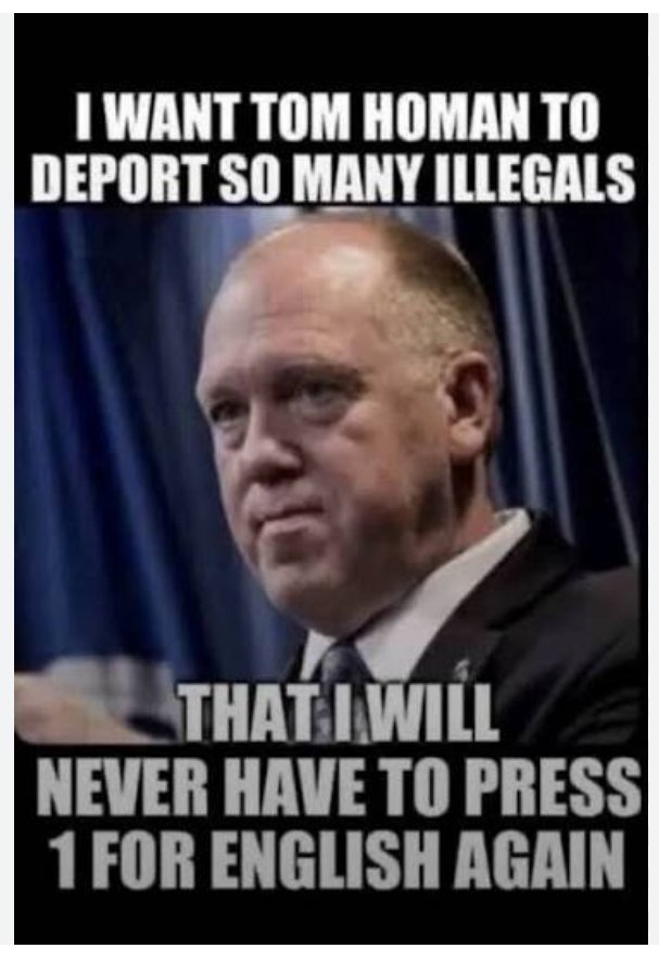 blue sun flower tweet media