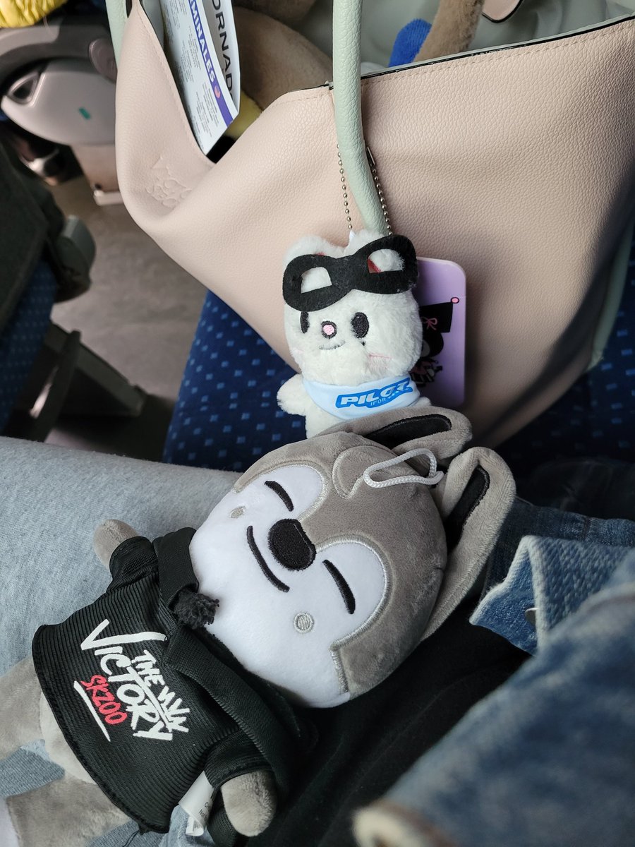 Marvi🩷💚 tweet media