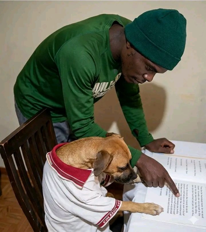 Koketso mashile tweet media