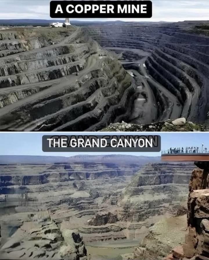 ⭐️R α ι ʂ ι ɳ'⭐️ C α ι ɳ⭐️ tweet media