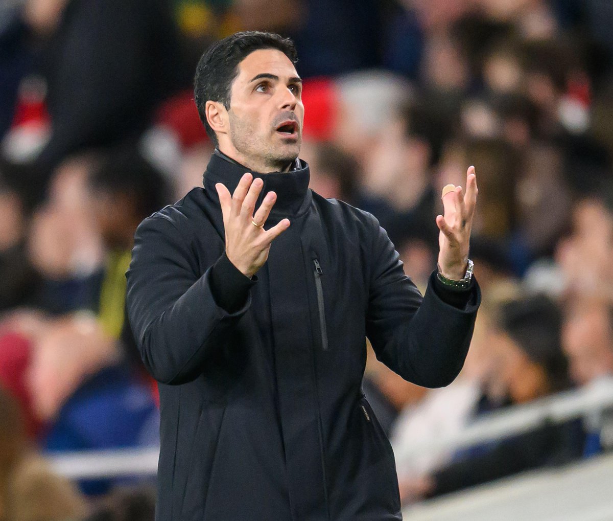 Footy Accumulators tweet media