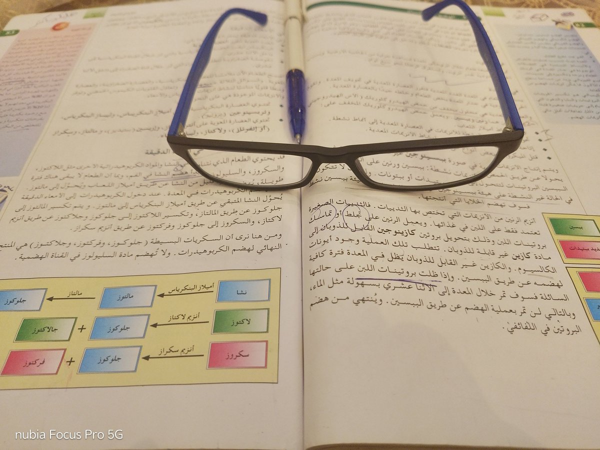 wafa وفاء tweet media