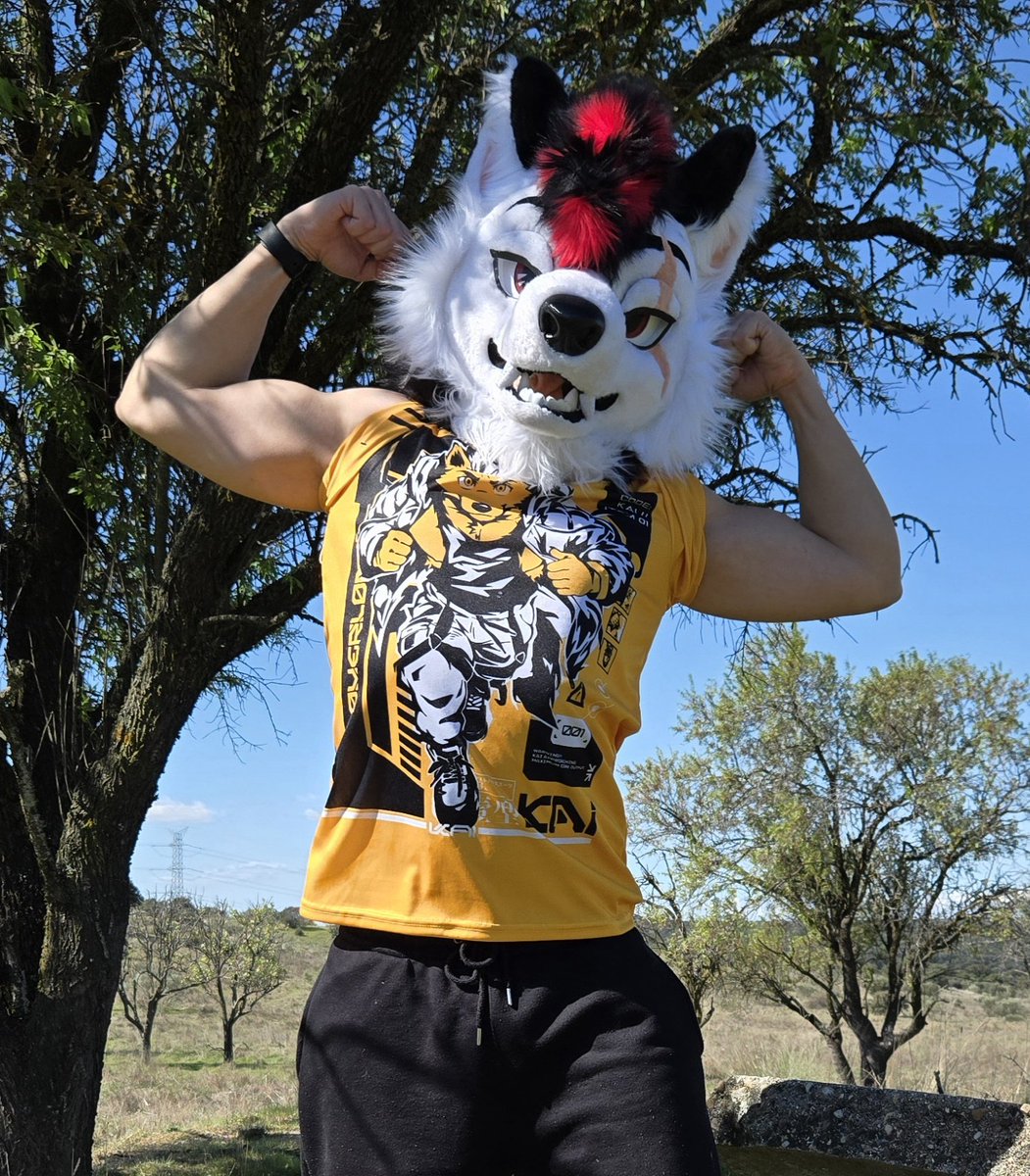 Denyern 狼 🐺 🔜 Ibercon tweet media