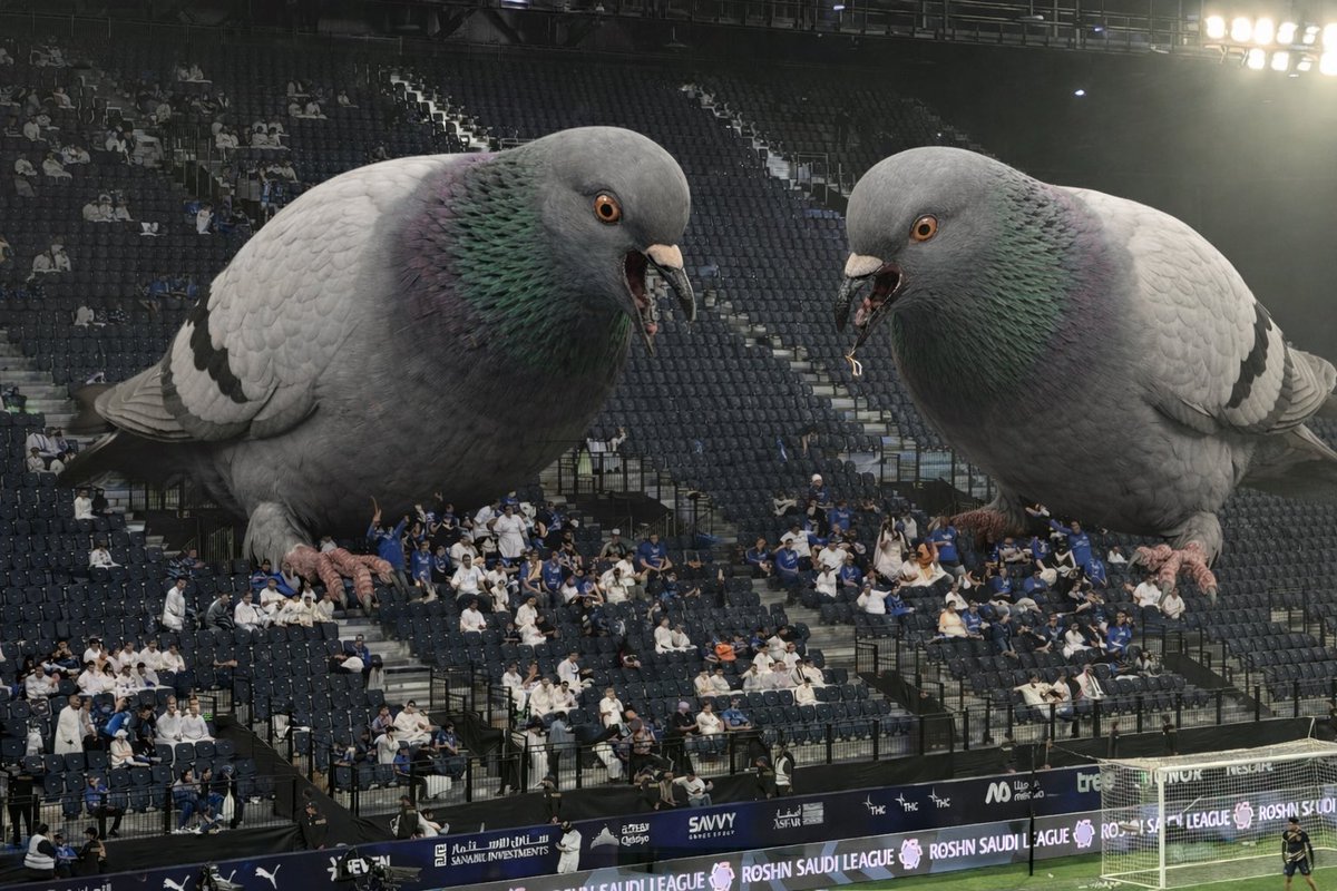 فواز tweet media