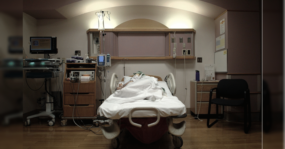 The Gateway Pundit tweet media