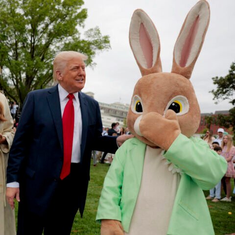 Dooboofay tweet media