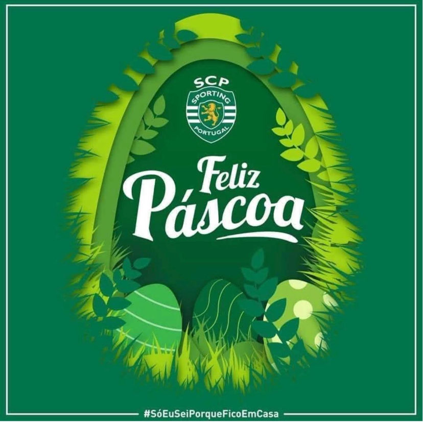 mvmaerq's tweet photo. @Ingrid_Tuxa @SportingCP https://t.co/Px5pvnaLnD