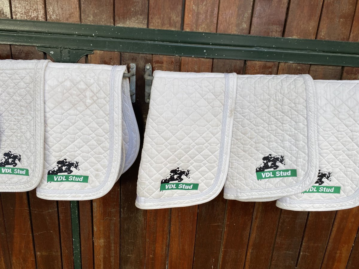 CdK Brok tweet media