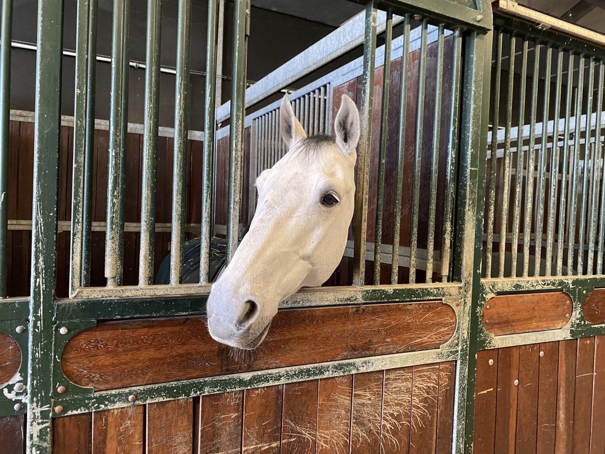 CdK Brok tweet media