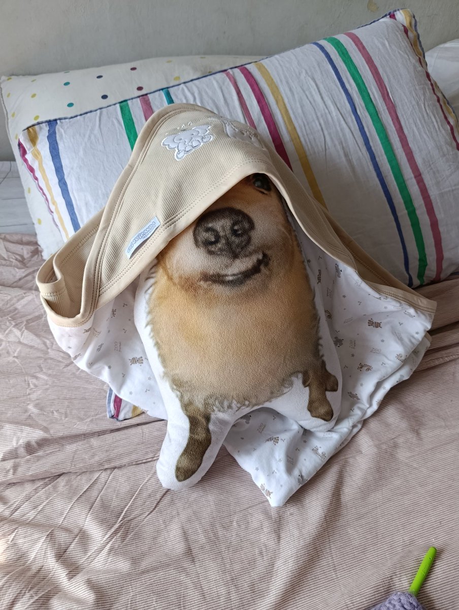 champirang ⁷ 🇵🇪 tweet media