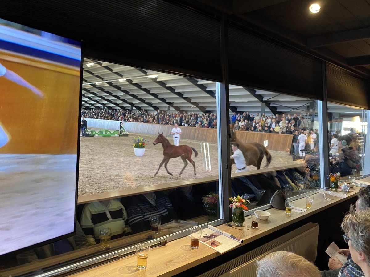 CdK Brok tweet media