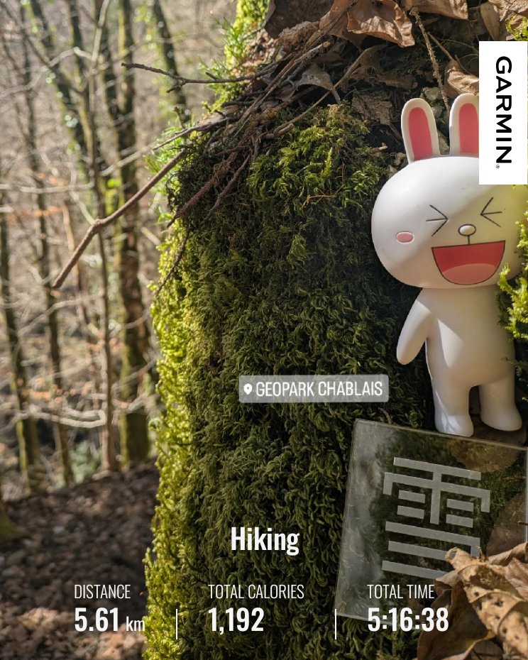 夏小雪（Yuki） tweet media