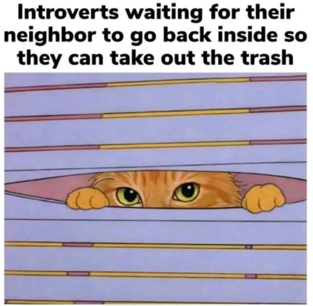 Cool Cat Society tweet media