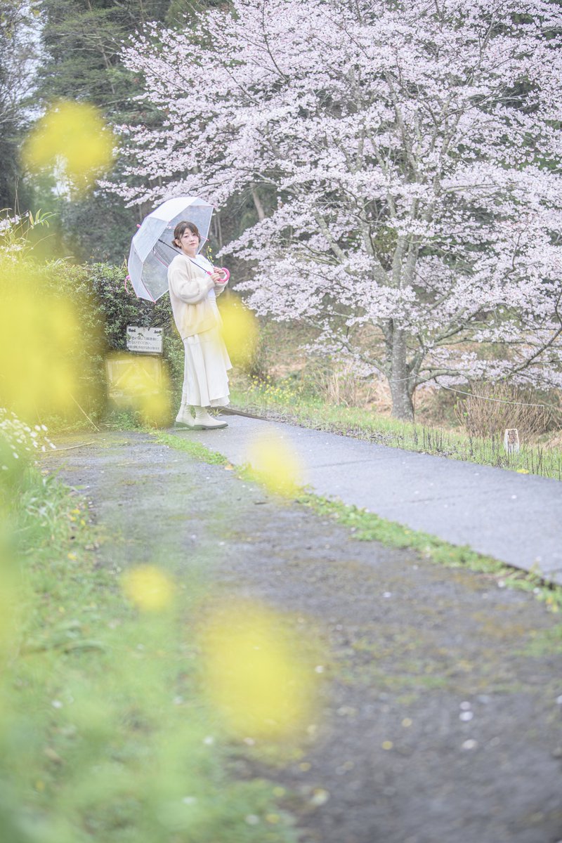 R20091023's tweet photo. 026.03.31
#グル撮
#小湊鉄道
#菜の花
#桜 https://t.co/z0hqwniZDt