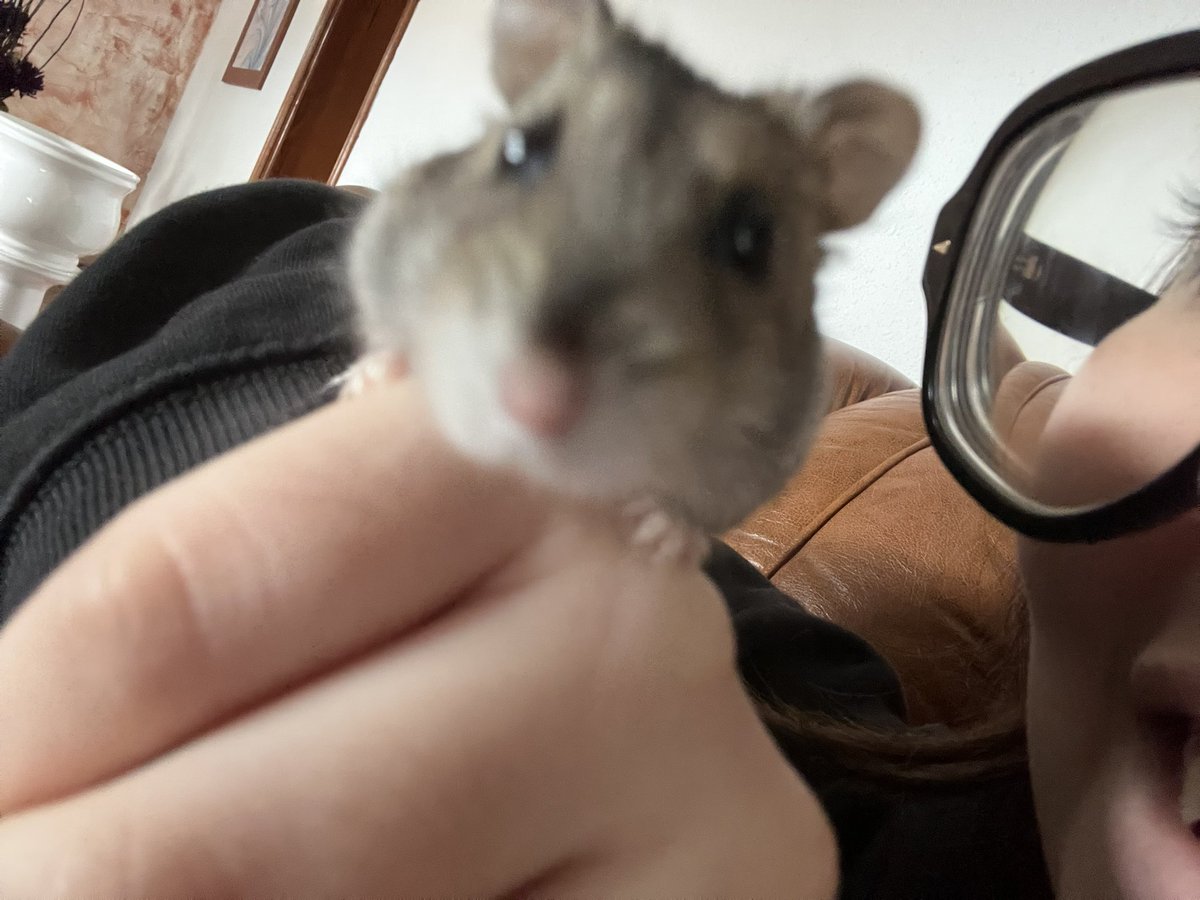 aicis‼️ tweet media