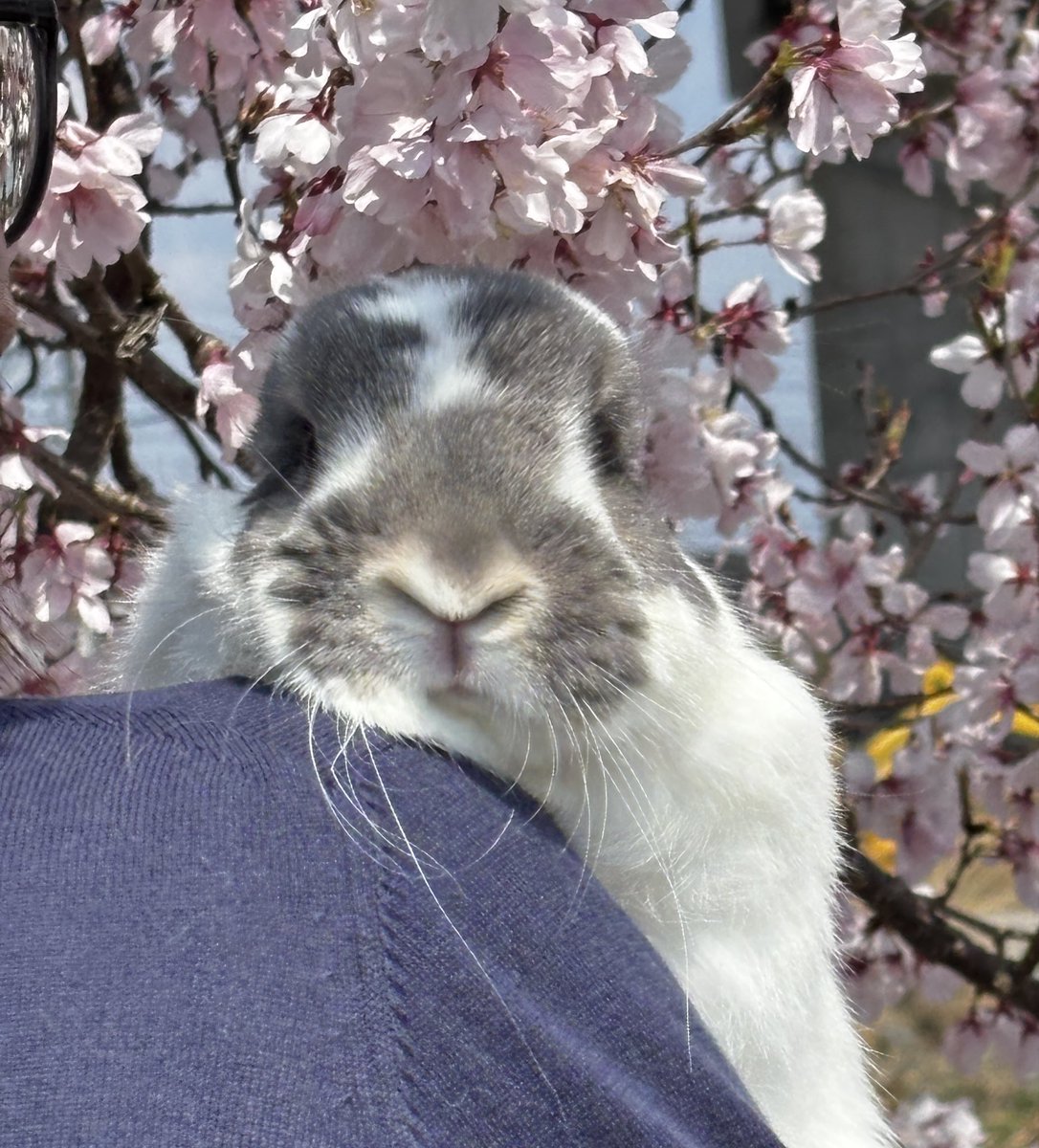 𝕙𝕚𝕟𝕒𝕥𝕒 tweet media