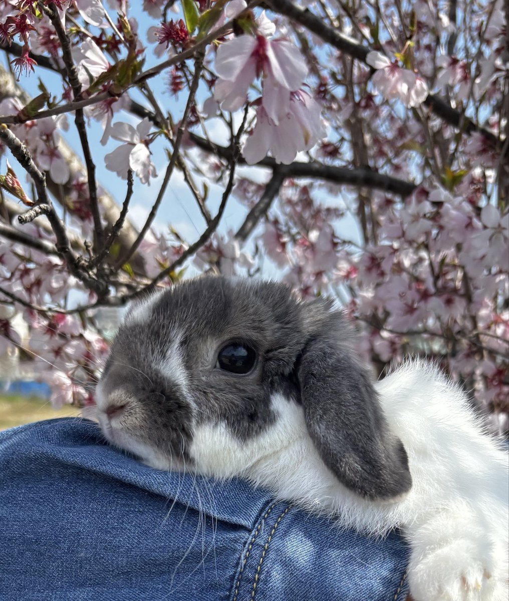 𝕙𝕚𝕟𝕒𝕥𝕒 tweet media