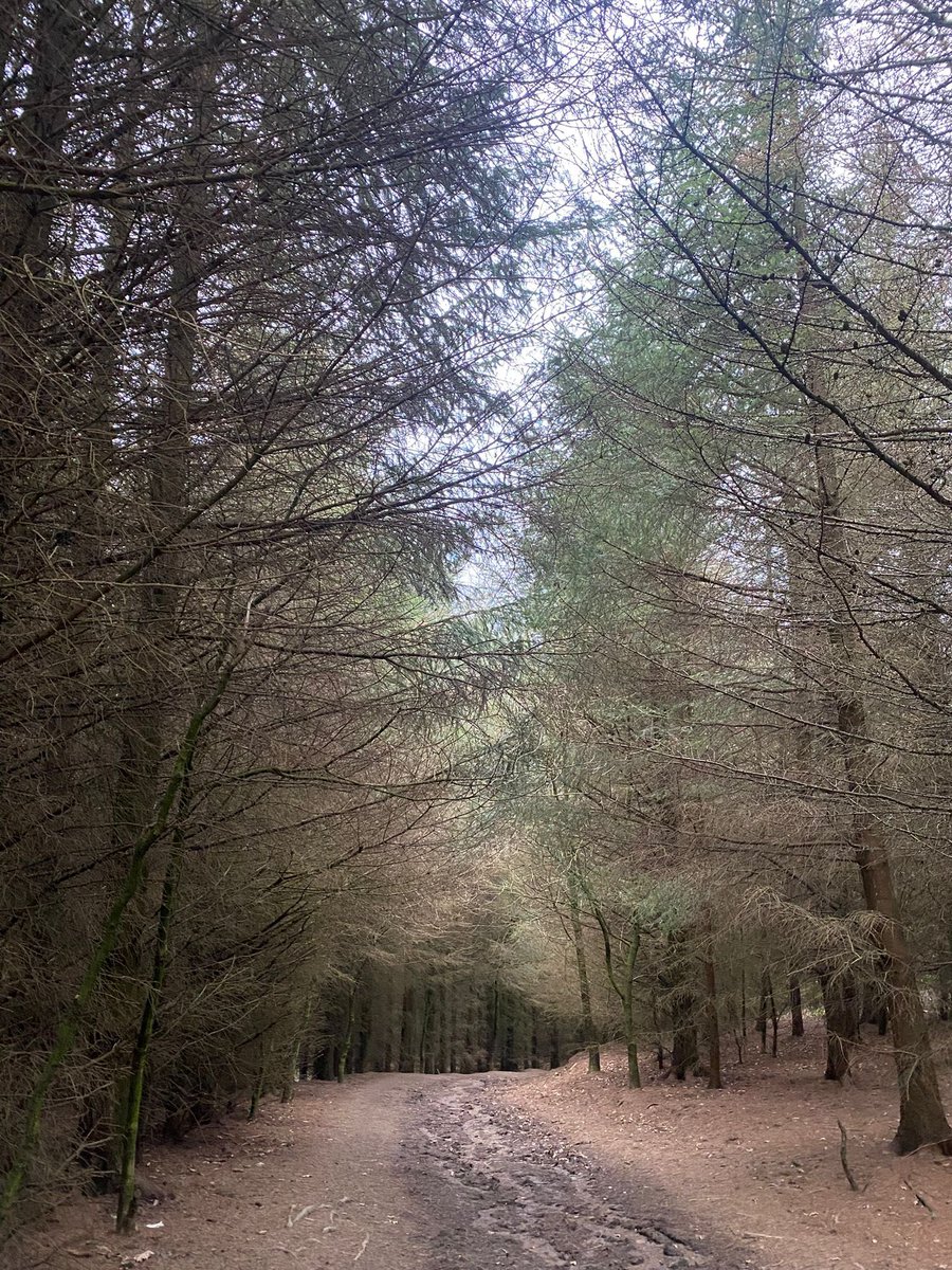 Wayne Preston tweet media