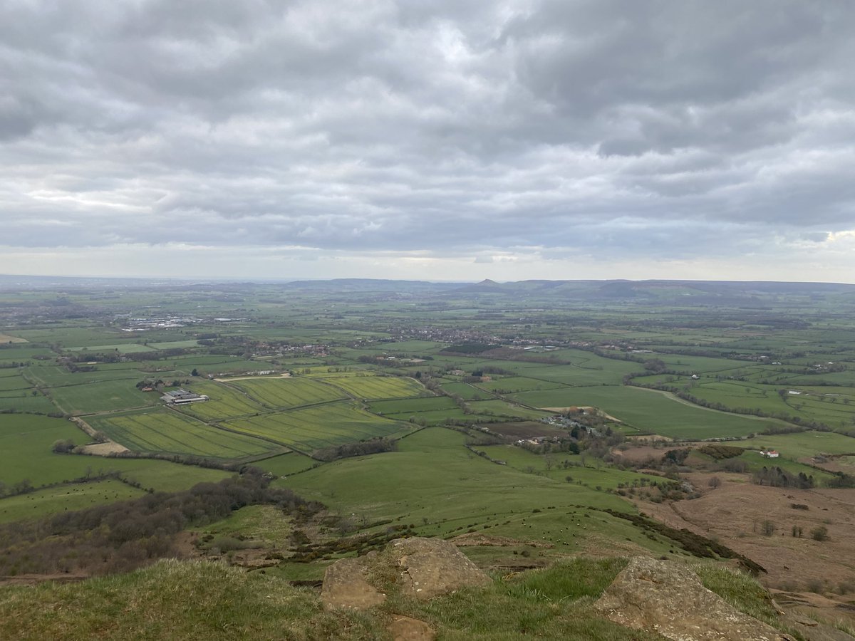 Wayne Preston tweet media