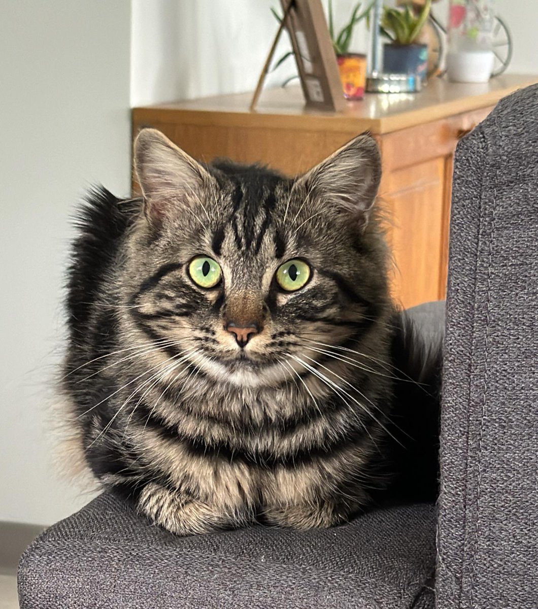 Thibault Bornier tweet media