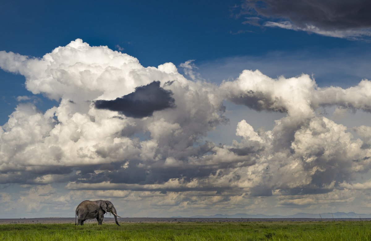 NikonIndia's tweet image. Shot by #NikonCreator Rajarshi Banerji

Shot with:
Camera: #NIKONZ9
Lens: NIKKOR Z 70-200mm f/2.8 VR S

For information on products, offers and more, visit nikon.co.in
#Nikon #NikonIndia #NIKKOR #NikonPhotography