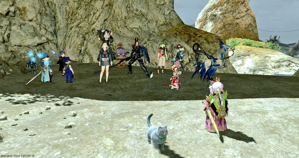 かめアリ⛏️🐢🧀 tweet media