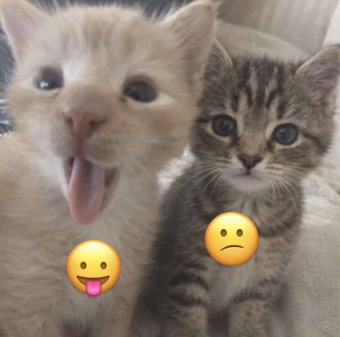 Antidepressant Content tweet media