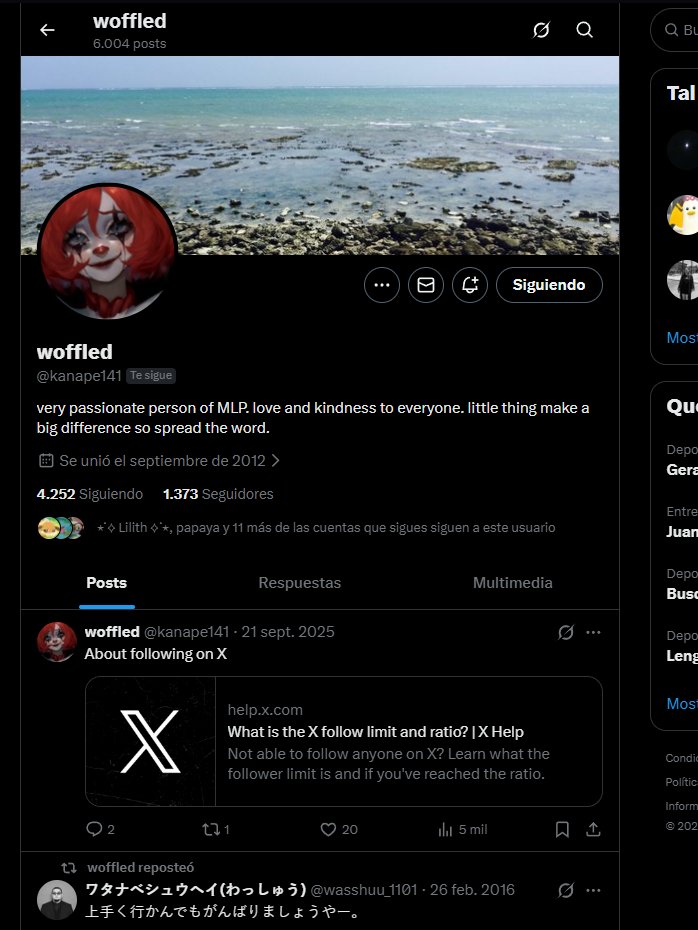 Chilingüini tweet media