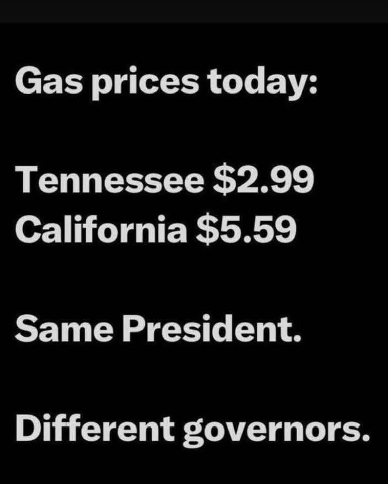 Walter Moline tweet media