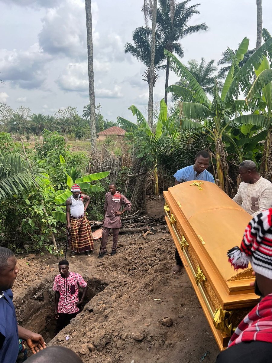 Chidiebere 🦍🇰🇷 tweet media