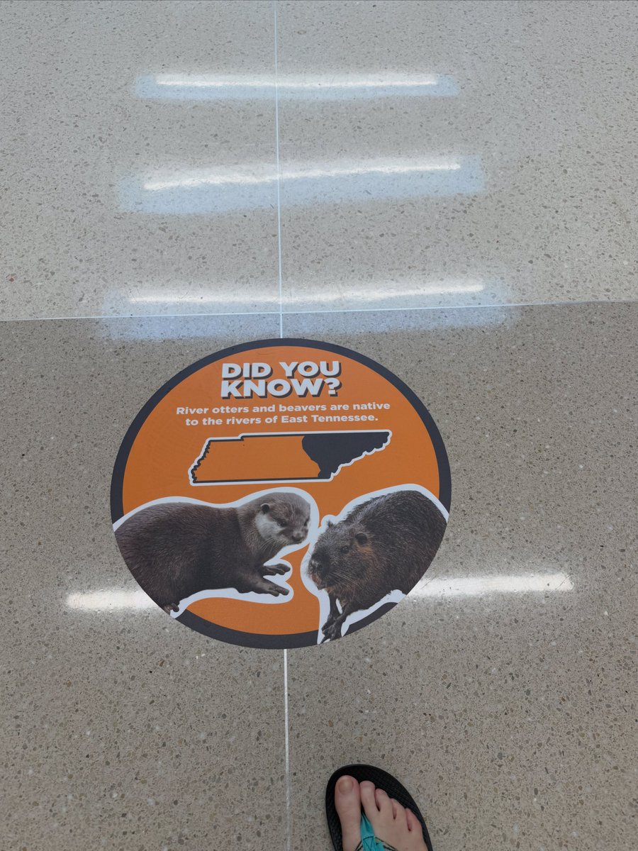 UT Col of Vet Med tweet media