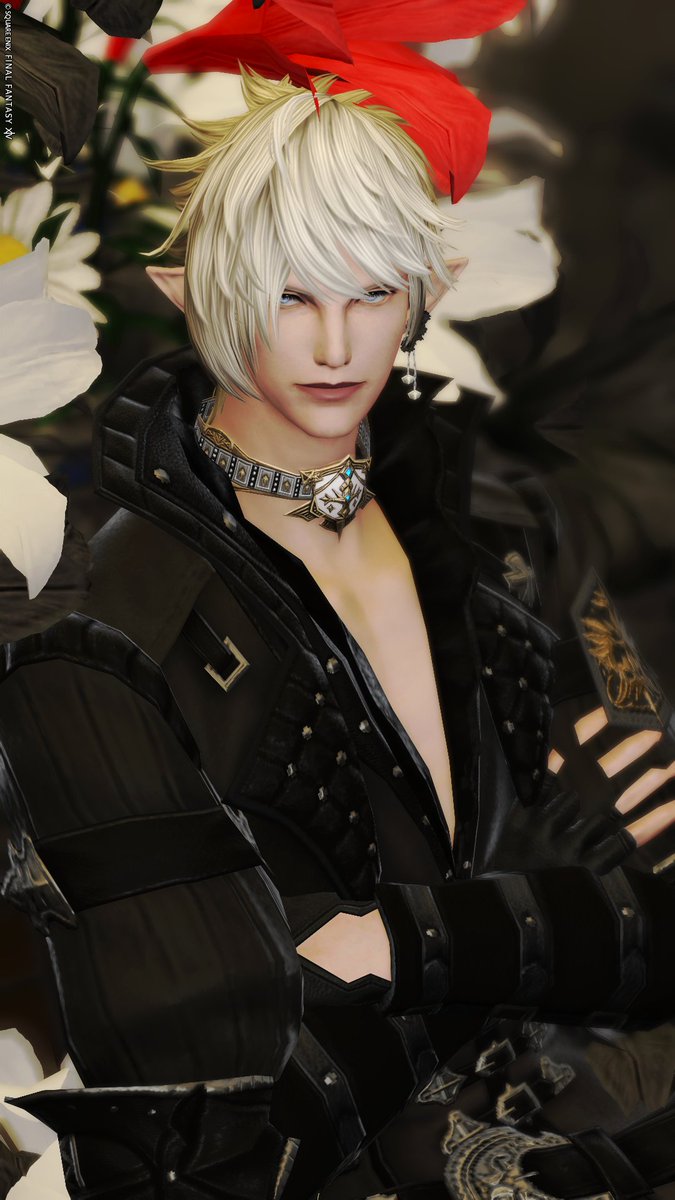 silva@zeromus tweet media