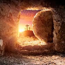 Ruben Herrero de Castro tweet media