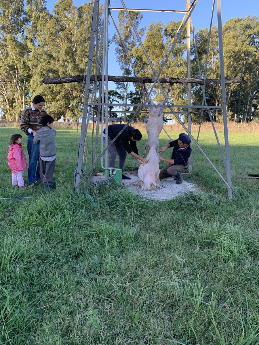 Líbranos del Mal tweet media