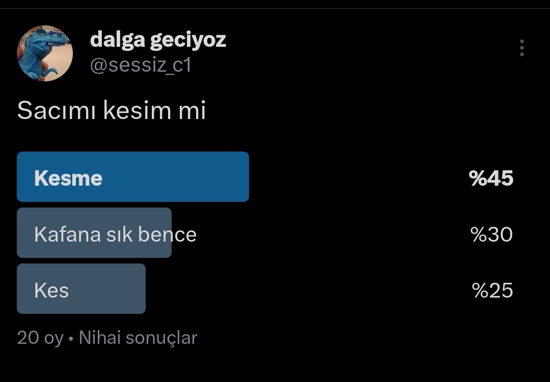 dalga geciyoz tweet media