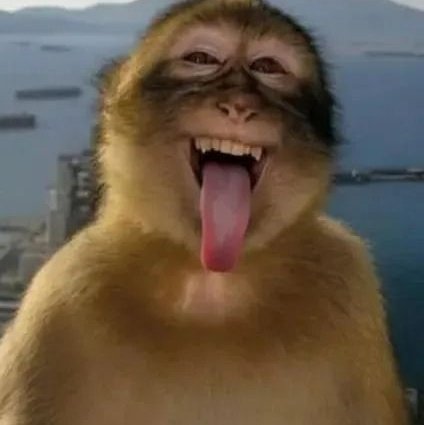 Eu: Deus quero uma mulher bem linda. 
Deus: assim?
Eu: aí tu perdeu a mão né meu senhor? Vou infartar de ciúmes com uma dessas.