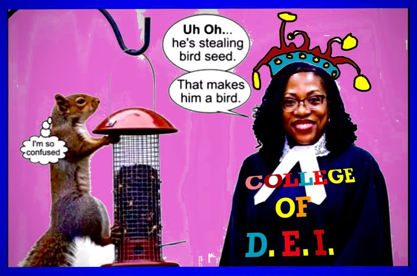 NWRain-Judi tweet media