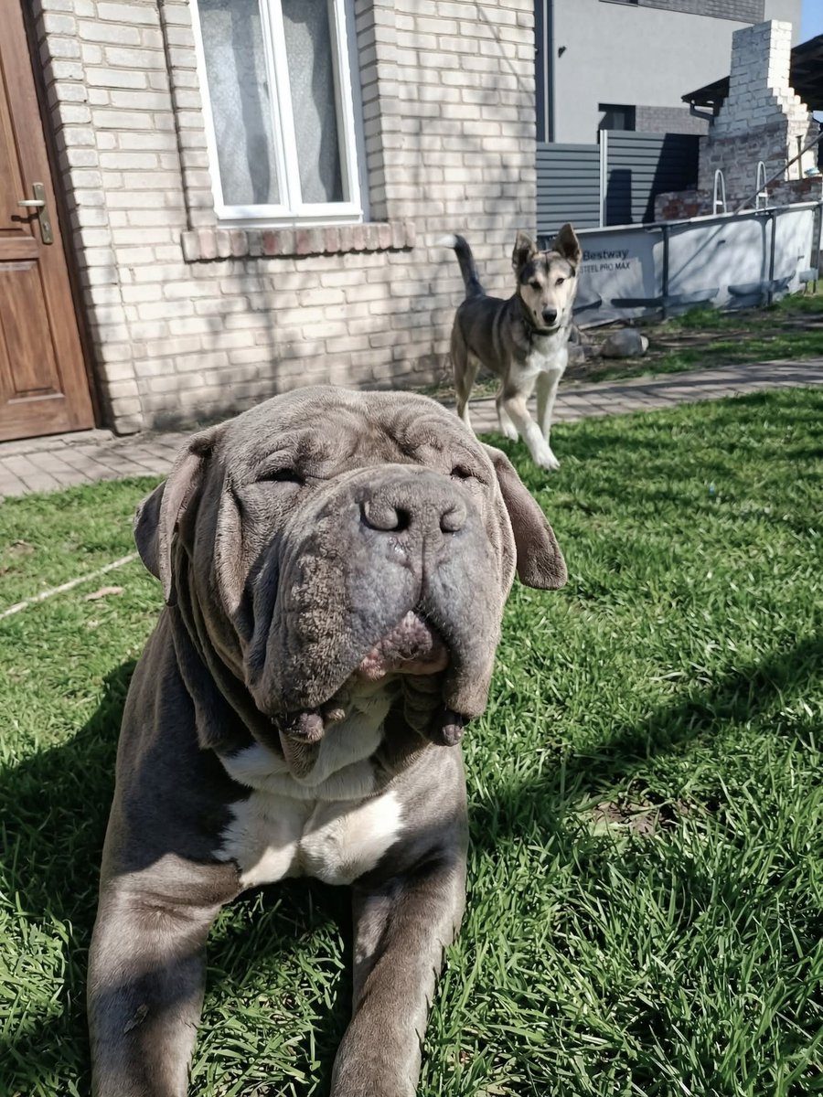 A Skeletal Ghost ✝️ MCMLXXXII tweet media