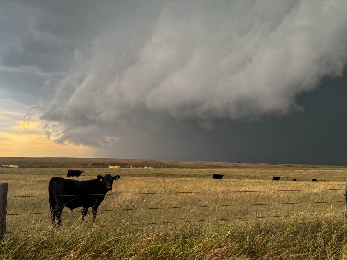 Paige Berdomas🌪 tweet media