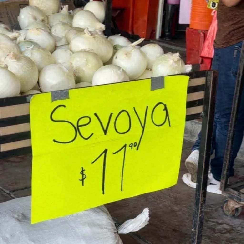 Jose Mate 💛 tweet media