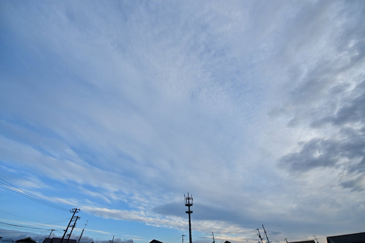 ノーザンライツ tweet media