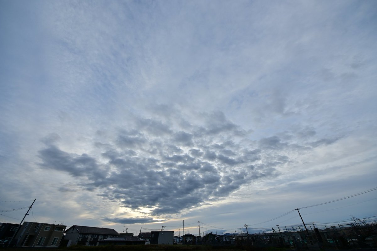 ノーザンライツ tweet media