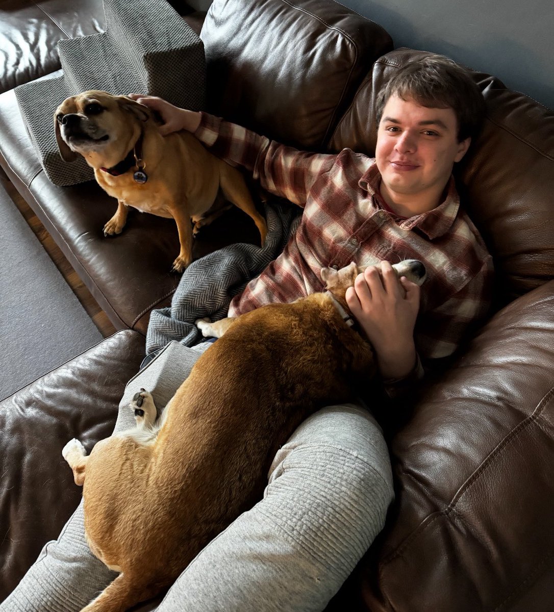 Adam Mockler tweet media