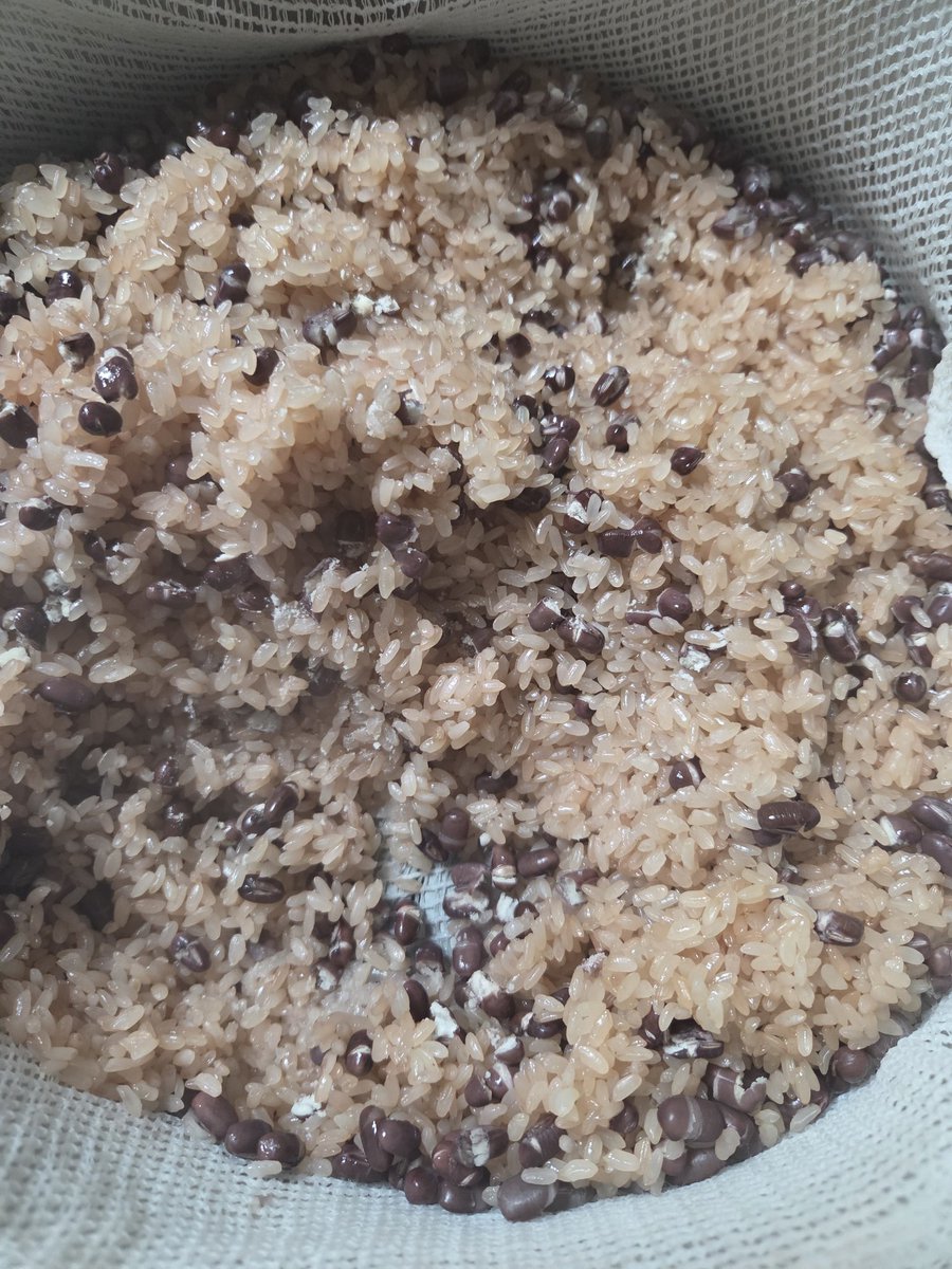 こ～くん tweet media