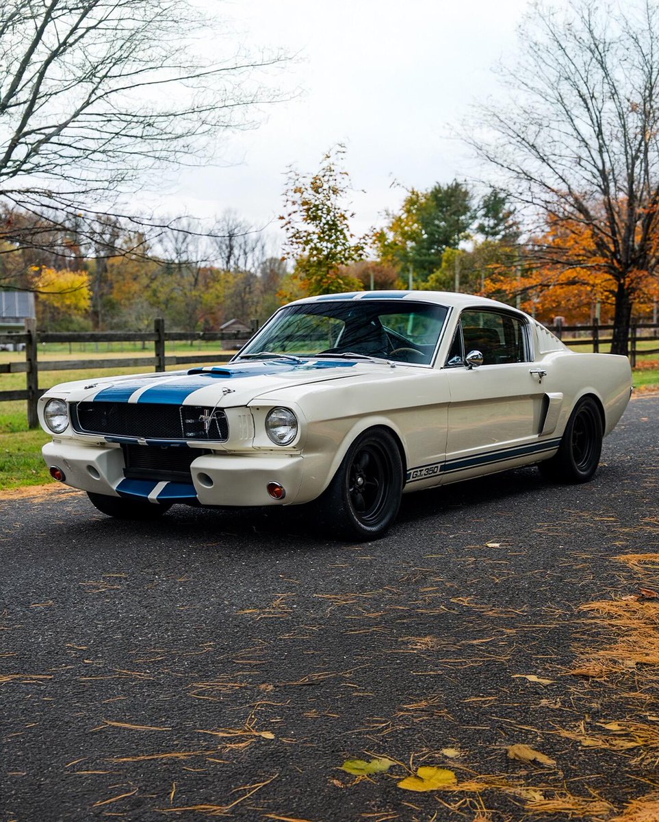 Susan Miller tweet media