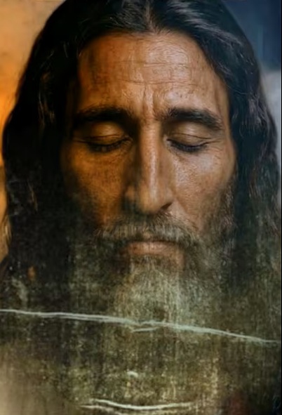 Canadian Troll tweet media