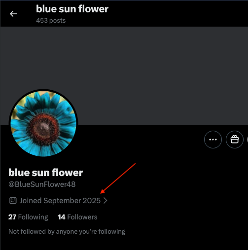 T. Ford 🇺🇸🌴 🐊 tweet media