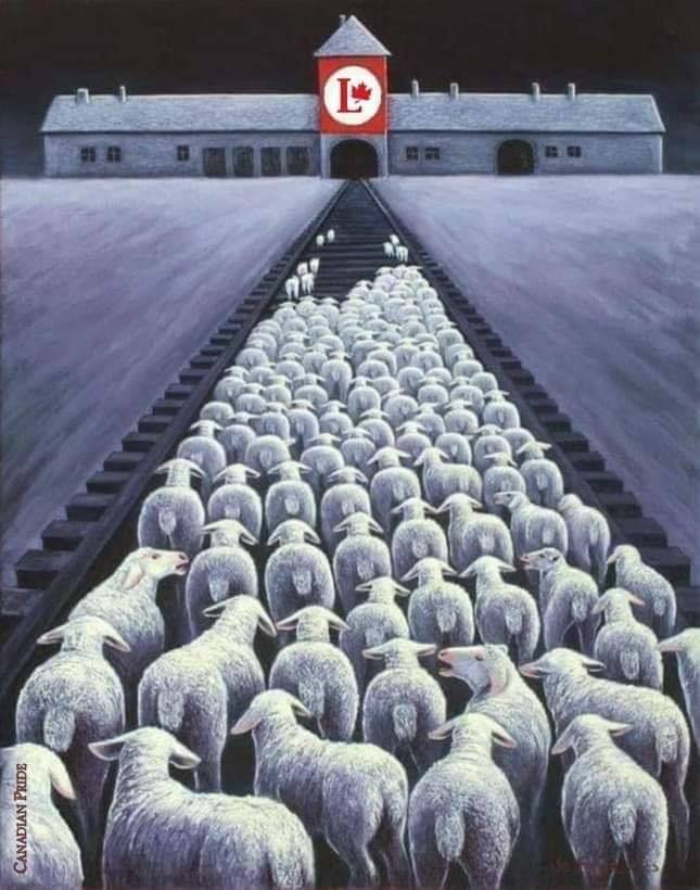 Canadian Troll tweet media