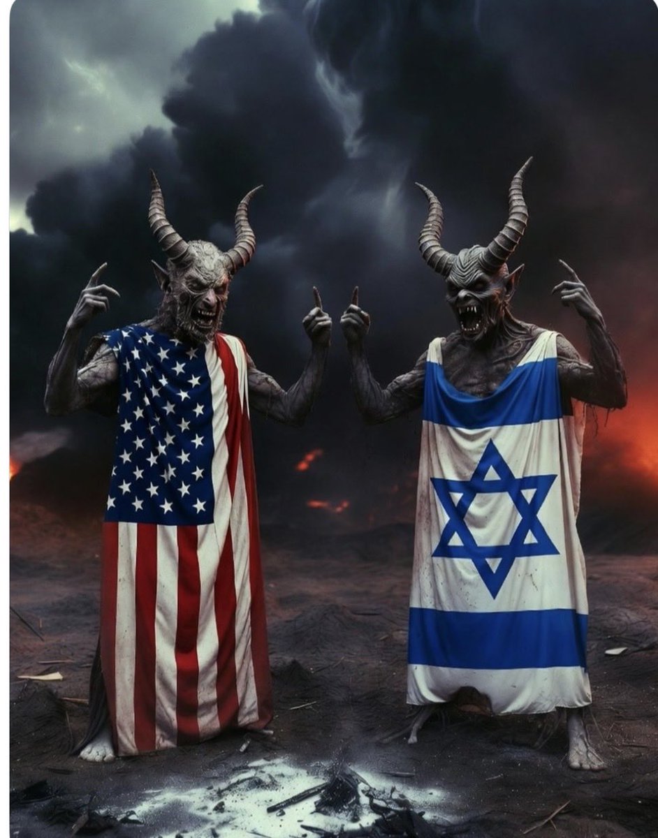 manal zayed tweet media